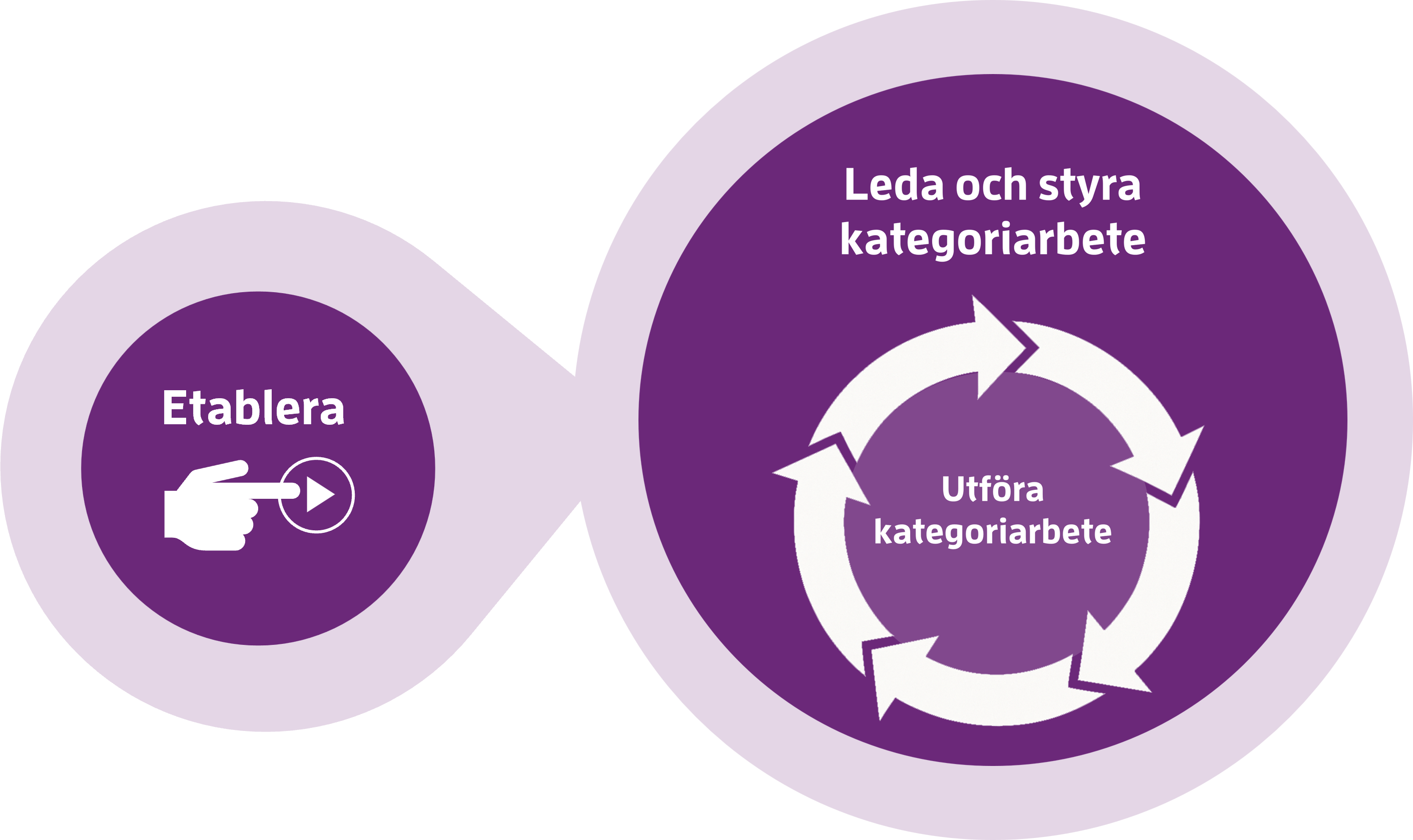 En illustration av ramverket f&ouml;r kategoristyrning.